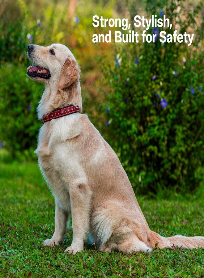 ADIL'S Adil’S Leather Spike Studded Dog Collar - Adjustable Pet Collar for Small, Medium, Large Dogs Durable & Stylish for Pitbulls, Bulldogs, Mastiffs & Guard Dogs (S to XL) Size:S, Color: RED - Image 3
